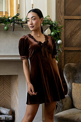 Roxanna Velvet Mini Dress In Brown - Final Sale