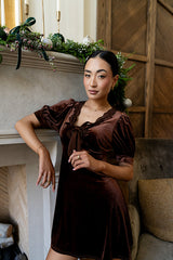 Roxanna Velvet Mini Dress In Brown - Final Sale