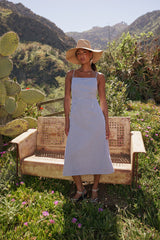 Trevor Gingham Midi Dress - Final Sale