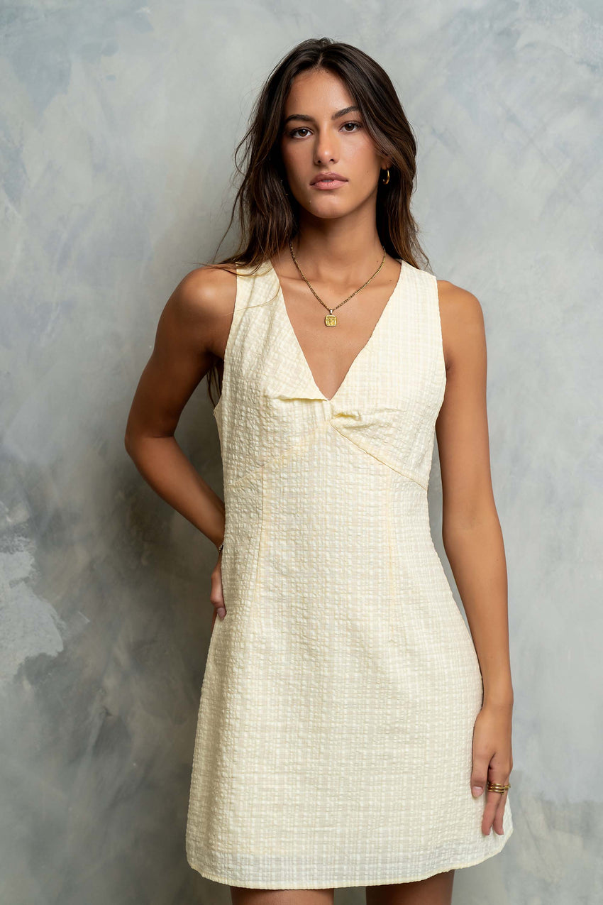 Jayden Sleeveless Mini Dress in Yellow